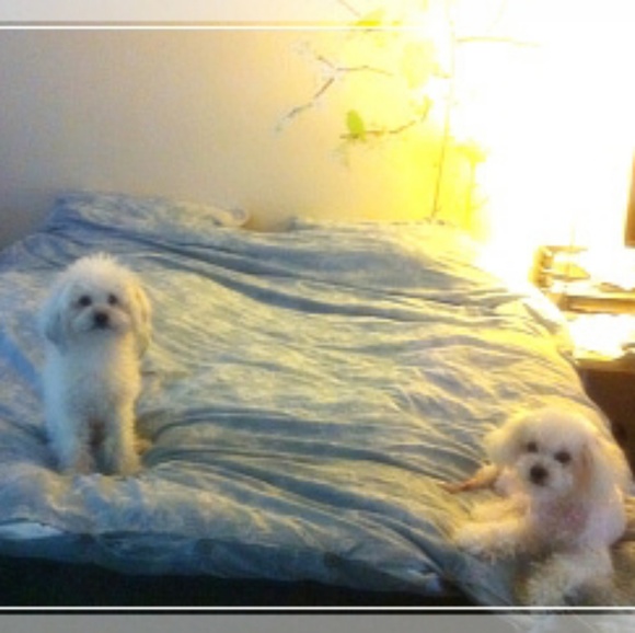 Meet your Posher, Kim - Picture 1 of 1